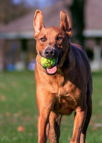 mobile - carousel-hero-element image-12